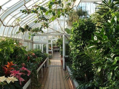 Zimná záhrada s tropickými rastlinami v Tollcross Park, Glasgow, Škótsko. Zdroj: Geograph.org.uk/Wiki